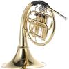 YIWENG Corno francese,Sib corno francese singolo 3 tasti ottone lacca oro corno francese diviso a fila singola strumento a fiato con bocchino cupronichel custodia per il trasporto