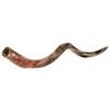 Kudu Yemenite HORN SHOFAR Kosher tutto lucidato circa 82-39 pollici nuovo