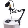 SAUADY Interfaccia mixer V8 + 800 Live Ton scheda audio Live Sound Card Dimensioni: 12,5 x 10,6 x 2,7 cm, nero oro per giochi di registrazione podcast