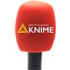 Hxstaald 2 Pezzi Personalizzare il logo sul microfono Parabrezza in schiuma Handhold Mic Foam Covers parabrezza con logo stampato per microfoni TV interviste broadcast (rosso)