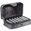 Stagg b2music - Armonica a Bocca blues con valigetta - 7 pezzi (La, SiB, Do, Re, Mi, Fa, Sol -diesis)