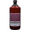 Davines, naturaltech Renewing, Shampoo 1000 ml - Shampoo di longevità Tod.