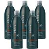 Inebrya - Emulsione Ossidante Profumata in Crema - 20 Vol 6% - 5 X 1000 ml