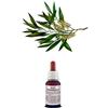 Il Regno Vegetale TEA TREE Oil Olio Essenziale 100% Puro e Naturale Uso Interno/Esterno Aromaterapia (20 ml)