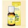 Generico Just Sprint & Focus, Olio Essenziale Naturale, 10 ml, Flacone con Contagocce