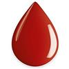 ESTROSA EVOLUTO COLOR ORIGINAL SIN - 14 ML