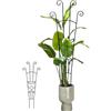 Generisch per piante rampicanti in interni - Barre per stabilizzare piante d'appartamento, barre di supporto per, per gli amanti del giardino, balcone, clematide e altre piante