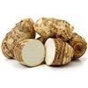 Generic 2 corm of Eddoe - COLOCASIA ANTIQUORUM ESCULENTA - EDDO