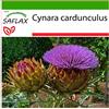 SAFLAX - Cardo - 50 semi - Con substrato - Cynara cardunculus
