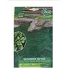 Giardicasa Prato Dichondra Repens sementi per 15 mq morbido e compatto 100 gr semi giardino