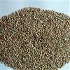 Generic Portal Cool 58Bd EE85 C9A8 20Pcs / Bag Patate Semi alimenti nutrizione organico patata dolce Seed