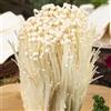 Generic Coltiva semi di enoki - inoki - esotiche resistenti Coltiva il tuo fungo enoki, resistenti per il giardino 85pcs