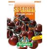 Ortolano Sementi SPECIAL di qualità Ibride e Selezioni Speciali per l'orto Hobbystico in bustina termosaldata (Pomodoro Luther F1)