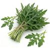 Generico Semi di Rucola Selvatica da 6g | Rucola da Coltivare per Orto, Vaso e Balcone | Crescita Rapida, Alta Germinazione | Semi Ortaggi per Orto Domestico