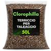 CLOROPHILLA Terriccio Professionale per Taleaggio e Radicazione - Mix Drenante e Arieggiato con Torba Fine, Fibra di Cocco e Pomice 2-4 mm (50 Litri)