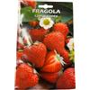acquaverde Semi Sementi Fragola Rampicante Perenne 10 Gr da 80-160 Cm Giardino Giardinaggio