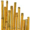 VERDELOOK Canne in Bamboo per Sostegno Ortaggi e Altri Usa da 210 cm in Confezione da 25 Canne