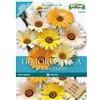 Fioral DIMORFOTECA IN MISCUGLIO SEMI FIORI