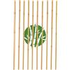 Generico Canne Bambù Naturale per Piante - Tutori Giardino Orto, Sostegni Rampicanti, Paletti Pomodori Melanzane - Bastoni Bamboo Trapianto Piantine, Cannette da Esterno e Interno (180 cm, 10 Pezzi)