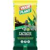 VIGORPLANT terriccio piante grasse 20lt