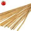 Vialca N 50 CANNE di Bamboo Altezza 2,40MT Diametro 2-2.2CM per Piante ORTICOLE POMODORI TUTORI per Piante in Bamboo THAILANDESI