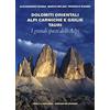 Priuli & Verlucca I grandi spazi delle Alpi. Ediz. illustrata. Dolomiti orientali, Alpi Carniche e Giulie Tauri (Vol. 8)