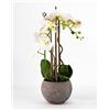 PERAGA GARDEN PHALAENOPSIS Orchidea Artificiale 50CM con Vaso Ovale Bianca Fiori Piante Artificiali