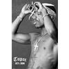 GB Eye, Tupac, Smoke, Maxi Poster, 61x91.5cm