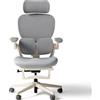 HINOMI Q2 Sedia da Ufficio Ergonomica con Supporto Lombare e Poggiatesta Regolabile, Seduta in Mesh con Braccioli Ribaltabili, Sedia Reclinabile con Poggiapiedi (Grigio)