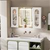 Ztexkee Specchio Bagno Contenitore con illuminazione e Antiappannamento Armadietto Bagno a Parete con Presa (2*AC + 3*USB) e 3 vani portaoggetti indipendenti per il Bagno 100 * 65 * 16 cm