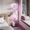 Zorvani Vetrinetta in Vetro,Vetrinetta Espositiva LED,Vetrina Soggiorno Moderna con 4 Ripiani in Vetro con 1Porta e Serratura,Vetrine per Collezionismo,Vetrina negozio (Nero+LED 1, 1Porta)
