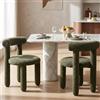 Ya-Home Set di 2 Sedie da Pranzo Sedia da Cucina Moderne Sedie Sala da Pranzo con Gambe in Metallo Sedia da Salotto in Pelliccia per Soggiorno/Ristorante, Verde