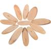 Anneome Pezzi di Legno di per Riempire Vasi Fai da Te Legno di Naturale per Artigianato e Decorazioni Accessorio per Matrimonio e Tavolo