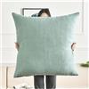 RTSFKFS Fodere per Cuscini 80x80 Quadrato Copricuscini Divano Federa Cuscino 50x50 Copri Cuscino Letto Decorazione Fodere Cuscini 60x60 Extra Large Sofa Pillow Covers(Lago Blu,80x80cm 1pc)