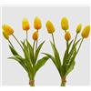 EDG Enzo De Gasperi Bouquet di 5 Tulipani Olis Ass. H 40 Cm Yellow 1 Pz