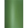Netuno 20 Fogli cartoncino Perlato Verde A4 21 x 29,7 cm 280g Aster Metallic Christmas Green cartoncino perlescente colorato Verde per lavoretti inviti Biglietti da Visita partecipazioni bomboniere