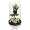 Aluisi Fiori - Rosa Stabilizzata Oro - Base in Legno Nero Senza LED - Rosa Stabilizzata Vera in Campana di Vetro - Fiori Stabilizzati