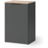 Vicco Credenza Wido, Antracite, 50 x 80 cm con ripiano, per la conservazione e l'organizzazione salvaspazio