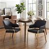 Ya-Home Set di 2 Sedie Sala da Pranzo per Cucina e Caffetteria,Nero