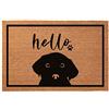 NBNX Zerbino con labrador nero, motivo: Hello Cute Lab, zerbino di benvenuto, divertente idea regalo, per casa, inaugurazione della casa, decorazione per pavimento, porta d'ingresso (beige, 61 x 91 cm)