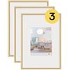 walther design cornice oro 40 x 60 cm con vetro artistico confezione da 3, cornice in plastica New Lifestyle KVX460G3