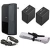 Digital Nc Batterie Intelligenti ad Alta capacità (2 unità) compatibili con Sony HDR-PJ670 + Caricabatterie da Viaggio AC/DC