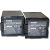 vhbw 2x batteria compatibile con Panasonic NV-GS320, NV-GS33, NV-GS330, NV-GS35 videocamera camcorder (3000mAh, 7,2V, Li-Ion)