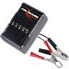 Ansmann Caricabatterie per Batterie Piombo 9164016/01 2V 6V 12V 24V 1pc(s)