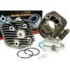 Malossi Kit cilindro Malossi Sport 70ccm per Kymco Vitality 50 2T e Cross