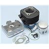 POLINI 166.0076/R GRUPPO TERMICO POLINI CORSA 70CC D.47 MALAGUTI F10 WAP 50 2T euro 2 (QJ*CMA03C*) SP.10 GHISA