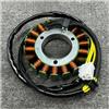 Axexnejv Generatore Statore Bobina Per Ducati Per Streetfighter 848 2012 Per Streetfighter 1098 1098S 2009-2013 26440611A Bobina Statore Alternatore