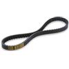 BRIXIAMOTO MALOSSI 61 9829 Cinghia X SPECIAL BELT 17,5x8x723 mm, Compatibile con Piaggio, Gilera, Vespa