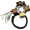 LG-MOTORS POWER ENGINEERING Alternatore Statore Magnete COMPLETO PIAGGIO CIAO BRAVO SI BOSS 50 CON FRECCE 293814