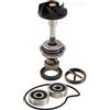 FAR Kit di Riparazione della Pompa dell'Acqua Compatibile con Piaggio Beverly 300 RMS
